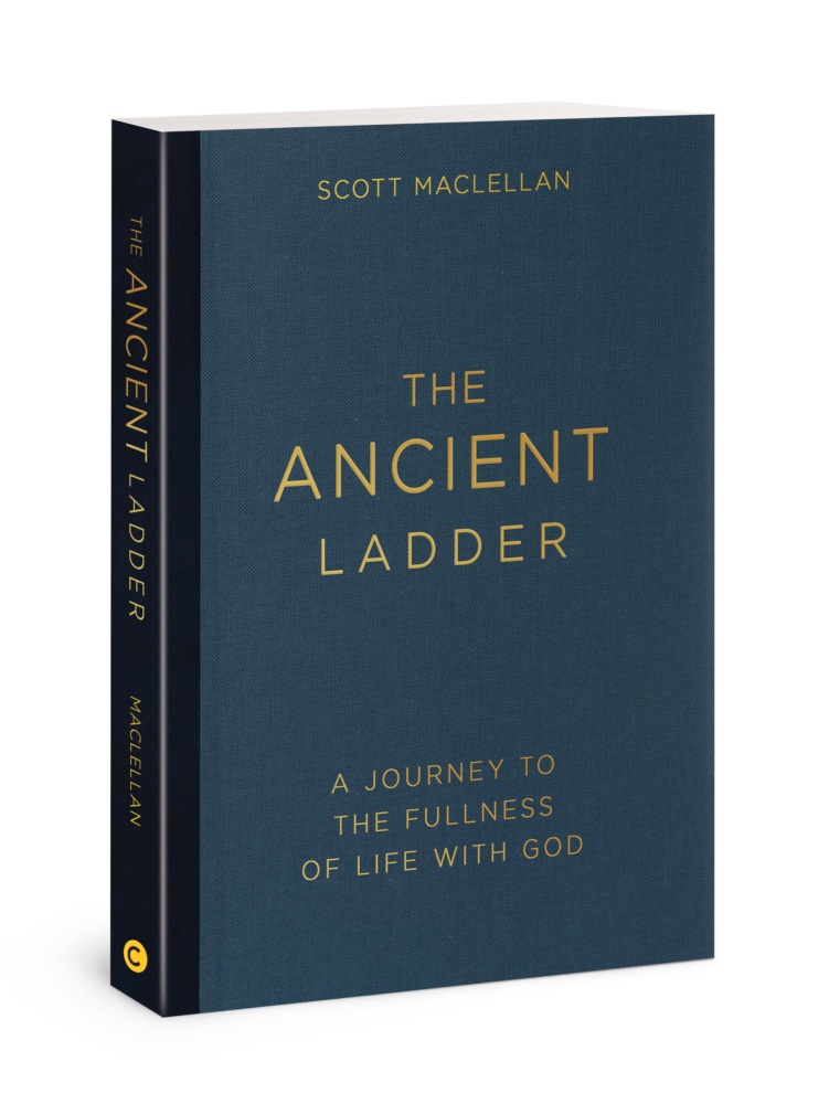 The Ancient Ladder book cover image