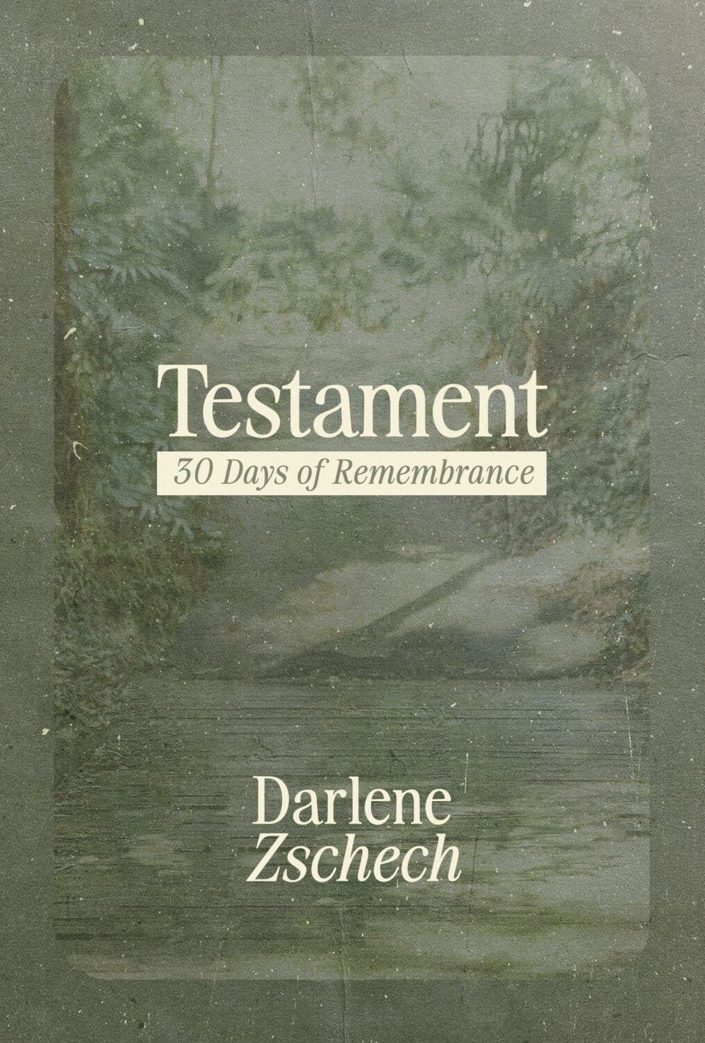 Testament Book Cover 30 Days of Remembrance