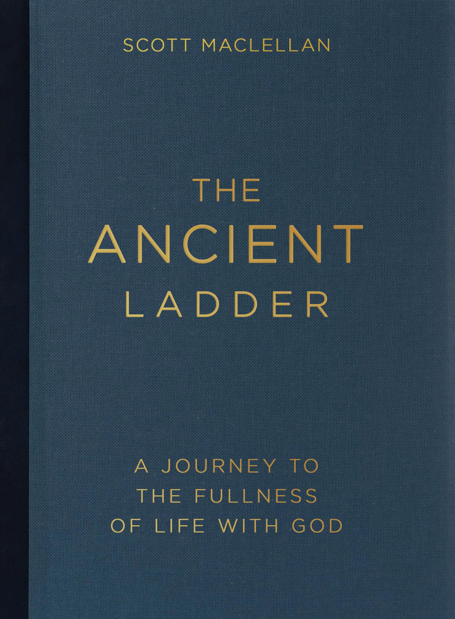 The ancient ladder book cover image